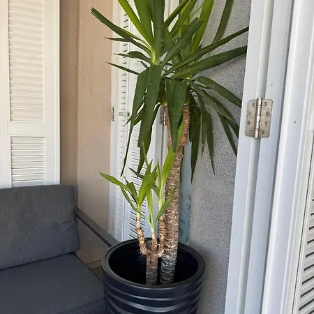 아파트 Titanium