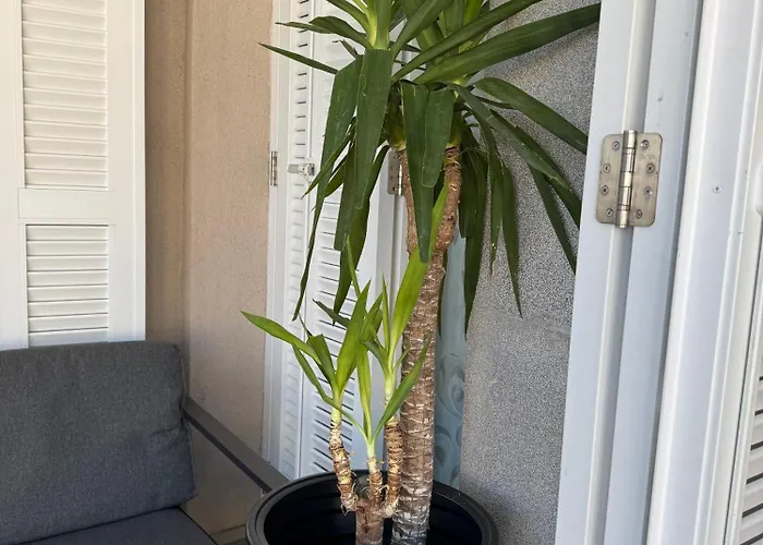 アパート Titanium